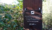 Trail Walking Sergenaux - Sentier Jacquot - Photo 6