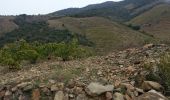 Trail Walking Banyuls-sur-Mer - Banyulus_A_Saute_Montagne_T - Photo 17