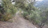 Trail Walking Banyuls-sur-Mer - Banyulus_A_Saute_Montagne_T - Photo 16