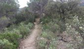 Trail Walking Banyuls-sur-Mer - Banyulus_A_Saute_Montagne_T - Photo 15