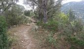Trail Walking Banyuls-sur-Mer - Banyulus_A_Saute_Montagne_T - Photo 14