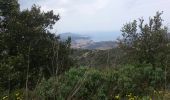 Trail Walking Banyuls-sur-Mer - Banyulus_A_Saute_Montagne_T - Photo 10