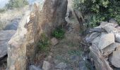 Trail Walking Banyuls-sur-Mer - Banyulus_A_Saute_Montagne_T - Photo 3