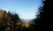 Tour Wandern Wasserburg - petit ballon - Photo 4