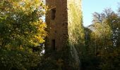 Tocht Stappen Saverne - chateau greittenstein - Photo 3