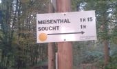 Trail Running Soucht - 20141014 - Photo 1