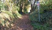 Trail Walking Lasne - Au sud de Ransbeck - Photo 12