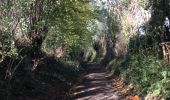 Trail Walking Lasne - Au sud de Ransbeck - Photo 7