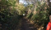 Trail Walking Lasne - Au sud de Ransbeck - Photo 6