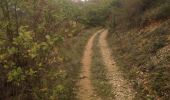 Trail Walking Cairanne - Cairanne - Photo 3