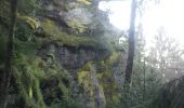 Trail Walking Thannenkirch - le massif du taennchel - Photo 2