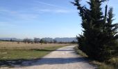 Trail Walking Eyragues - Eyragues 24.10.2014 - Photo 1