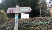 Trail Running Saint-Étienne - camps egauds ND Hermitage GR7 jasserie perdrix bessat Salvaris camps - Photo 7