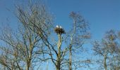 Randonnée Marche Waadhoeke - jabikspaad oudebiltzijl - bushalte vijverzathe jelsum  - Photo 1