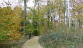 Tour Wandern Sint-Genesius-Rode - De Rhode Saint-Genèse à Groenendaal parl la forêt de Soignes - Photo 5