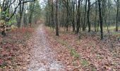 Trail Walking Maasmechelen - Mechelse Heide - Photo 13