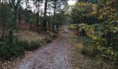 Trail Walking Maasmechelen - Mechelse Heide - Photo 12