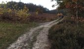 Trail Walking Maasmechelen - Mechelse Heide - Photo 11