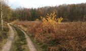 Trail Walking Maasmechelen - Mechelse Heide - Photo 10