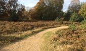 Trail Walking Maasmechelen - Mechelse Heide - Photo 6