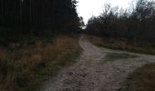 Trail Walking Maasmechelen - Mechelse Heide - Photo 4