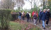 Tour Wandern Élancourt - Etang de la Boissière 13/11/2014 - Photo 13