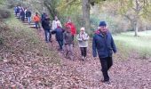 Trail Walking Élancourt - Etang de la Boissière 13/11/2014 - Photo 5
