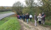 Trail Walking Élancourt - Etang de la Boissière 13/11/2014 - Photo 4