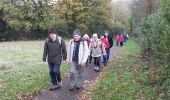 Trail Walking Élancourt - Etang de la Boissière 13/11/2014 - Photo 2
