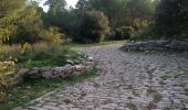 Excursión Senderismo Villetelle - oppidum d'Ambrussum - Photo 2