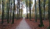 Tour Wandern Tervuren - ballade en forest de soignes - Photo 1