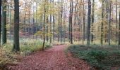 Randonnée Marche Tervueren - ballade en forest de soignes - Photo 6