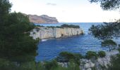 Tour Wandern Marseille - les Calanques d'Envau et de port pin - Photo 7
