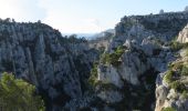 Randonnée Marche Marseille - les Calanques d'Envau et de port pin - Photo 5