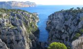 Trail Walking Marseille - les Calanques d'Envau et de port pin - Photo 2