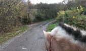 Trail Equestrian Verviers - mgbx - Photo 7
