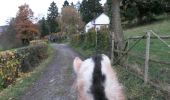 Trail Equestrian Verviers - mgbx - Photo 5