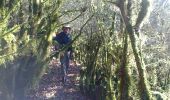Trail Walking Coyron - Rando Vouglans - Photo 4