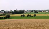 Tour Wandern Assesse - Assesse - Wandeling P5 - Photo 6