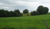 Tour Wandern Assesse - Assesse - Wandeling P5 - Photo 3