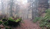 Trail Walking Lembach - Fleckenstein, circuit des 5 châteaux. - Photo 4