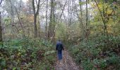 Trail Walking Andenne - Balade dans la Réserve Naturelle de Sclaigneaux - Andenne - Photo 2