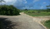 Trail Walking Anse-Bertrand - Budan-Anse Pistolet - Photo 2