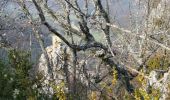 Tour Wandern Combovin - Grand Dent 23 11 2014 - Photo 1