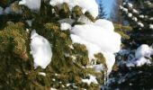 Randonnée Raquettes à neige Crans-Montana - L''Aprili - Photo 8