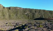 Trail Walking Sainte-Rose - La Réunion - Boucle du point de vue du château Fort par le Pas de Bellecombe - Photo 12