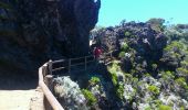 Tour Wandern Sainte-Rose - La Réunion - Boucle du point de vue du château Fort par le Pas de Bellecombe - Photo 17