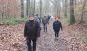 Trail Walking Élancourt - rando du 04/12/2014 - Photo 15