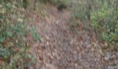 Trail Walking Vaulx-Milieu - vaulx - Photo 4