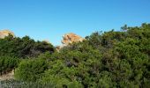 Excursión Senderismo Bonifacio - Bonifacio. Tunara au feu de fenu - Photo 3